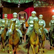 Grupo de 10 policiais com capacetes montados em cavalos, de frente para a foto.