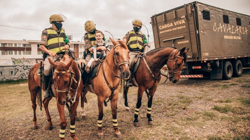 Saiba o que é necessário para ter um cavalo como animal de