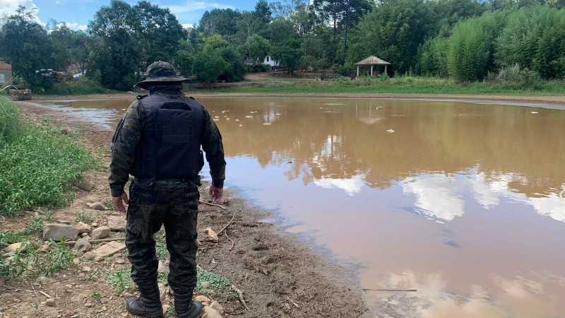 Morte de Peixes em Santo Antão