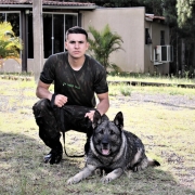 Instrução do Canil do 15º BPM para Alunos do Estágio de Adestramento e Emprego de Cães de Guerra do 3º BPE 9