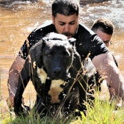 Instrução do Canil do 15º BPM para Alunos do Estágio de Adestramento e Emprego de Cães de Guerra do 3º BPE 14