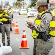 Estratégias assertivas para diminuição dos índices criminais