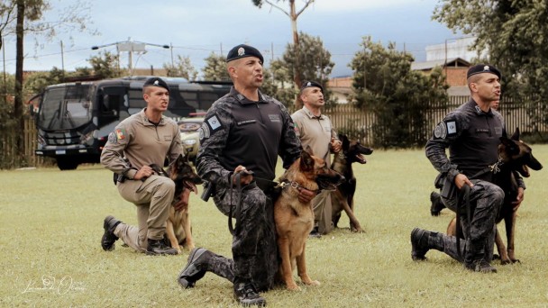 Imagem traz 4 PMs, junto aos seus c&atilde;es, em um gramado.