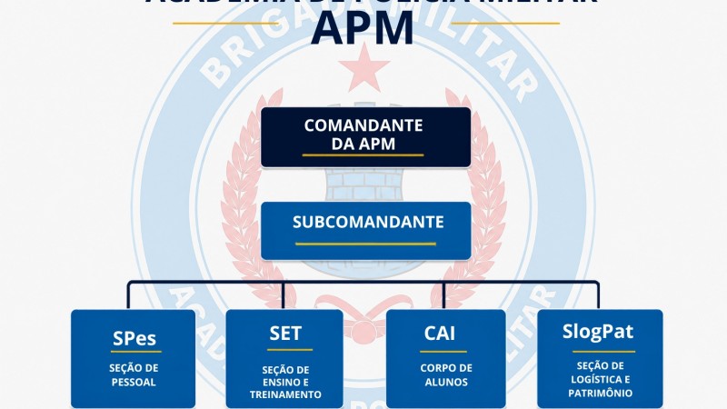 Organograma APM